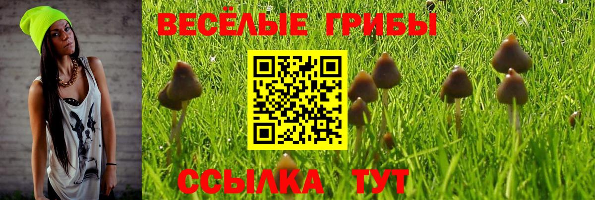 Псилоцибиновые грибы мицелий Таганрог